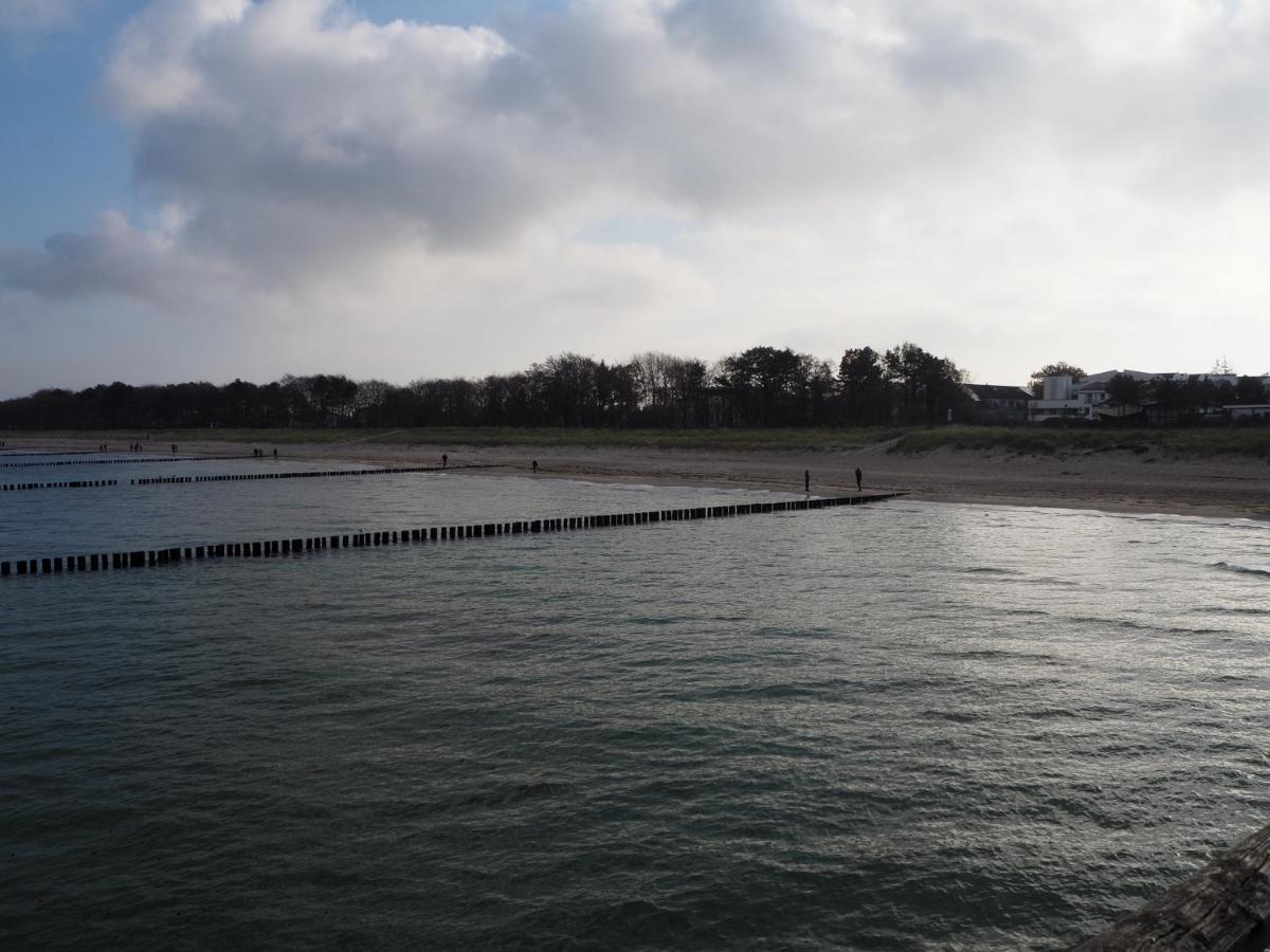 Strandmuschel